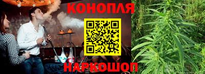 Альфа ПВП Гатчина