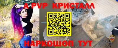 Альфа ПВП Гатчина