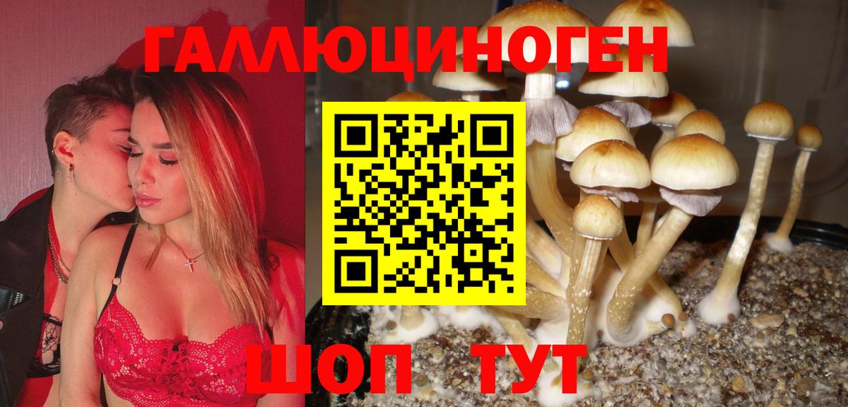 Псилоцибиновые грибы Psilocybine cubensis  Киржач 