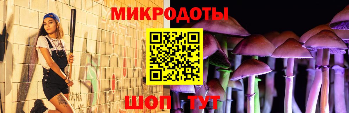 Галлюциногенные грибы прущие грибы  Вход с VPN  Киржач 
